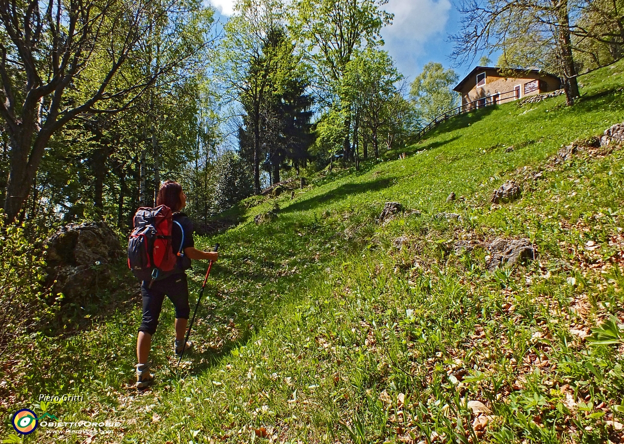 27 in arrivo alla Baita del Carlo (1300 m.)....JPG